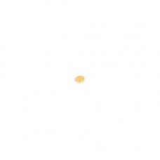 Магніти покриті золотом N42 D 5x1,5 Gold